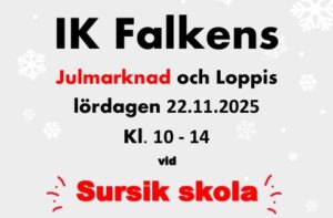 Läs mer om artikeln Julmarknad & Loppis