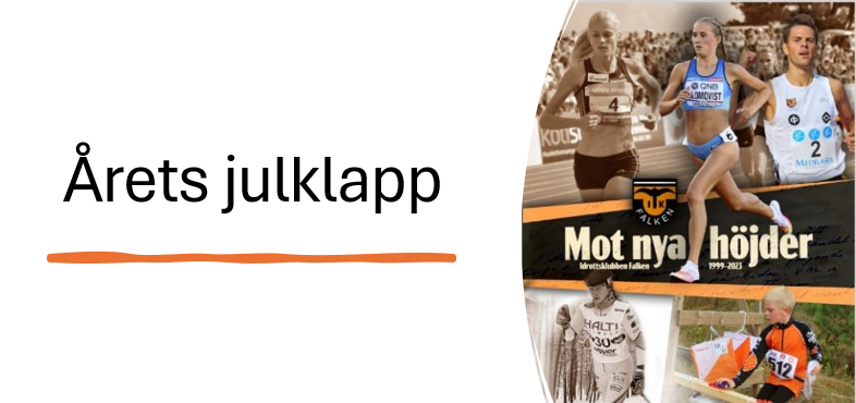 Du visar för närvarande Årets julklapp: Falken historikbok